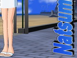 nb_5303s