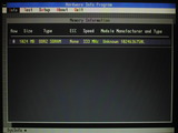 hwinfo_umax5300_2