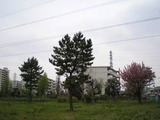 20140420165558