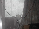 mla_009