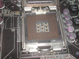 p5b_deluxe5