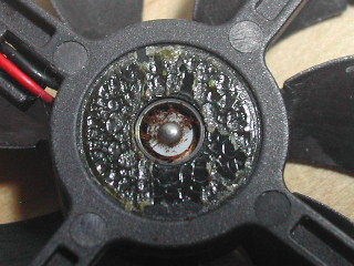 fan_2