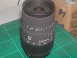 70300dg_macro