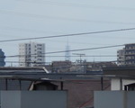2005302120