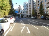 2010251524