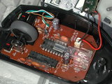 lynx2