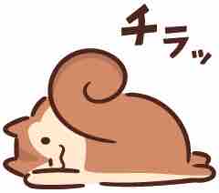 5003