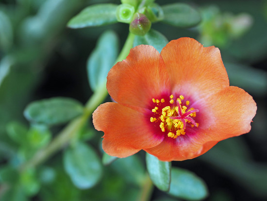resize2795