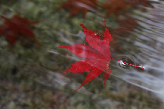 resize2165