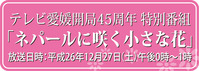放送日時2