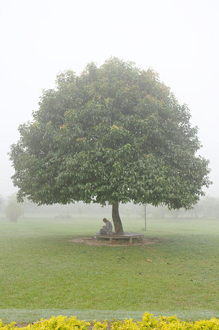 resize2509
