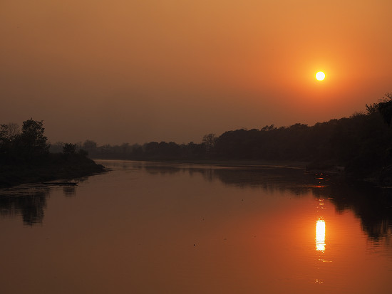 resize3519