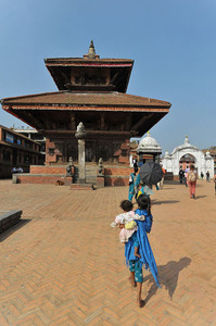 resize2488