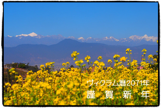 resize2509_edited-1