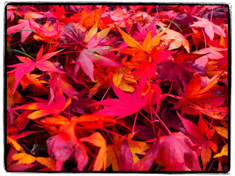 resize5368