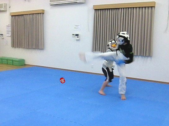 スコーピオンキック Fkj師範の空手ブログ