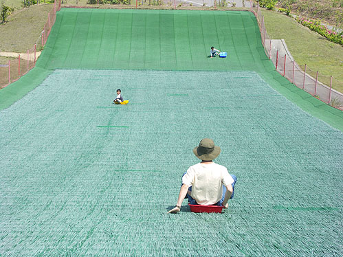 八尾ゆめの森 こども元気村 Albertablog