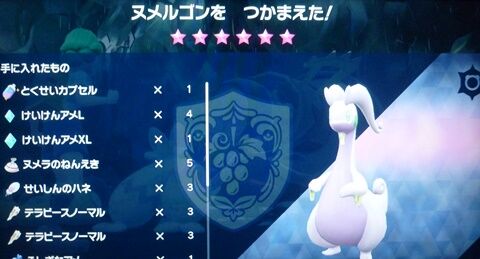 ヌメルゴン 6ソロ攻略 ポケモンsv アニ雑 ヌメルゴン 6ソロ攻略 ポケモンsv アニ雑
