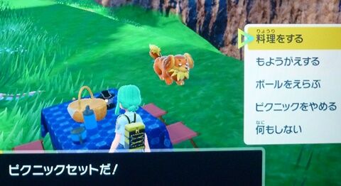 色違いポケモンの捕まえ方 ポケモンsv 料理作成方法 ひでんスパイスの使い道と入手方法 アニ雑