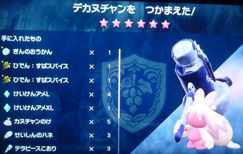 デカヌチャン 6 ソロ攻略 ポケモンsv アニ雑