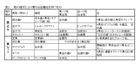 obt-table2