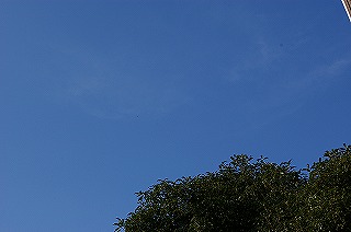 4eae4b53.jpg