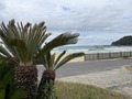 IMG_1881