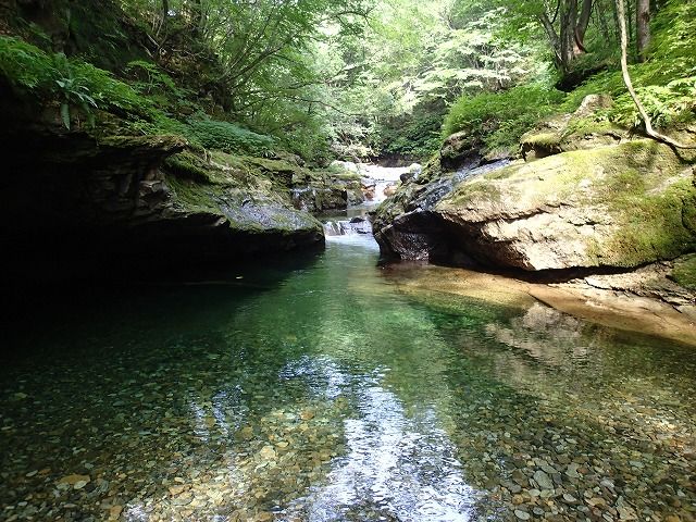 二口渓谷 鳴虫沢 逆襲の100g