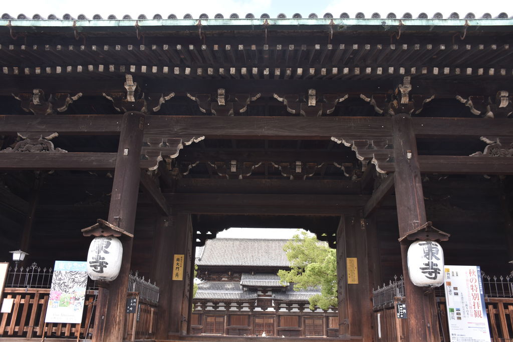 DSC_0598 - ¥³¥Ô¡¼