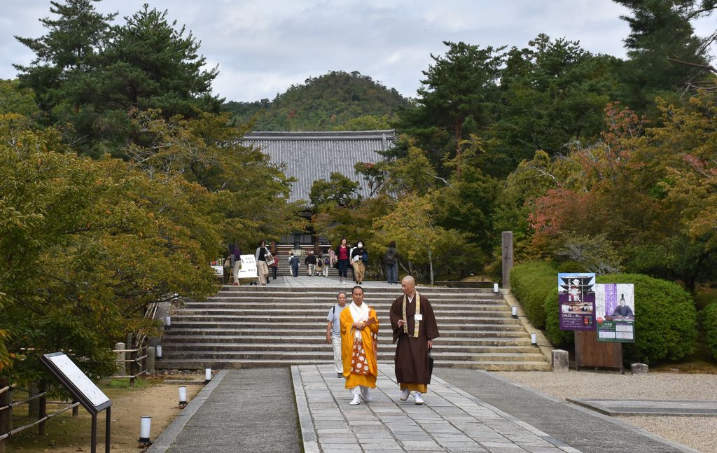DSC_0691 - ¥³¥Ô¡¼