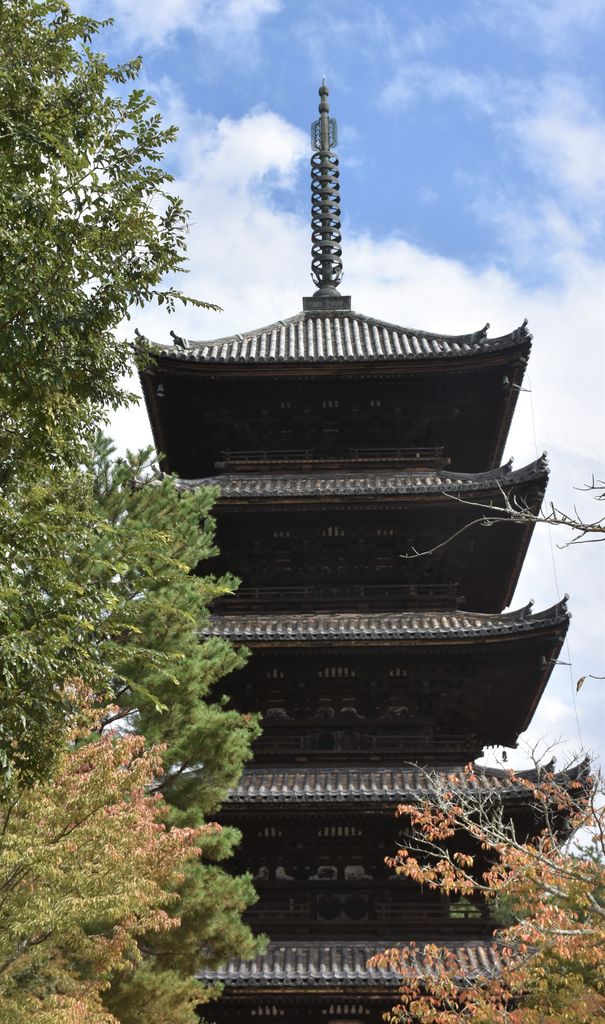 DSC_0703 - ¥³¥Ô¡¼