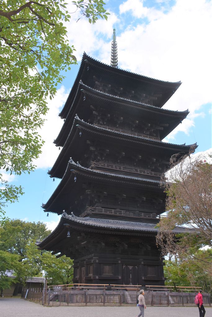 DSC_0591 - ¥³¥Ô¡¼