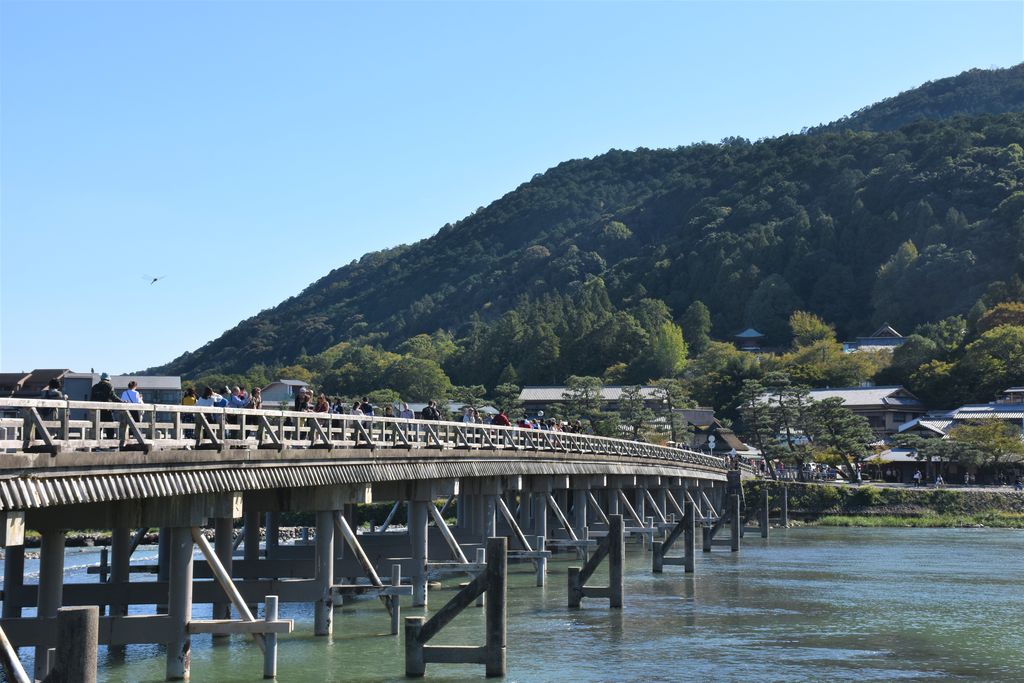 DSC_0643 - ¥³¥Ô¡¼
