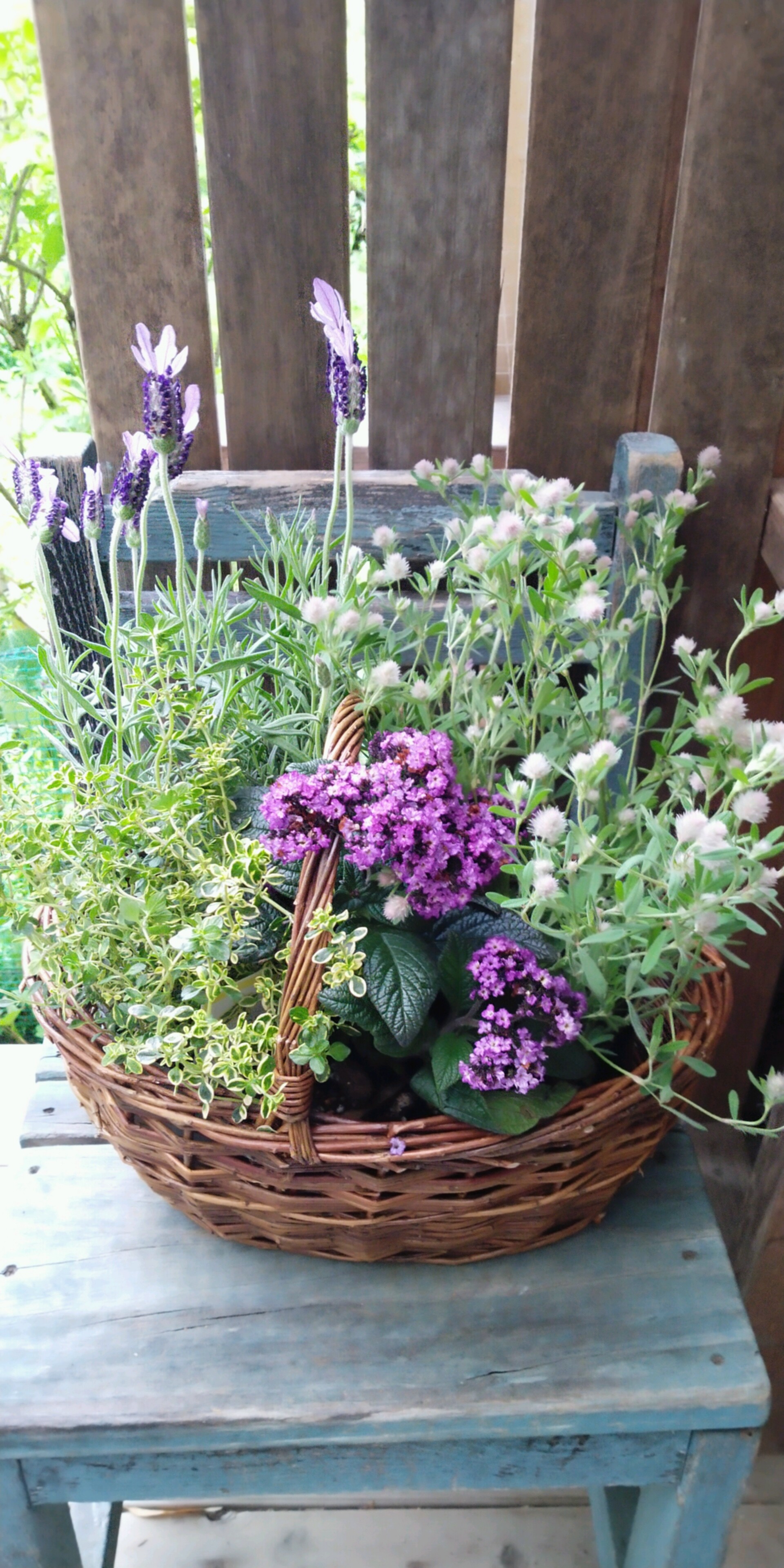 22母の日ギフト 花とハーブ寄せ植えと ティータイムセット Broom香房 里山ハーブ暮らし