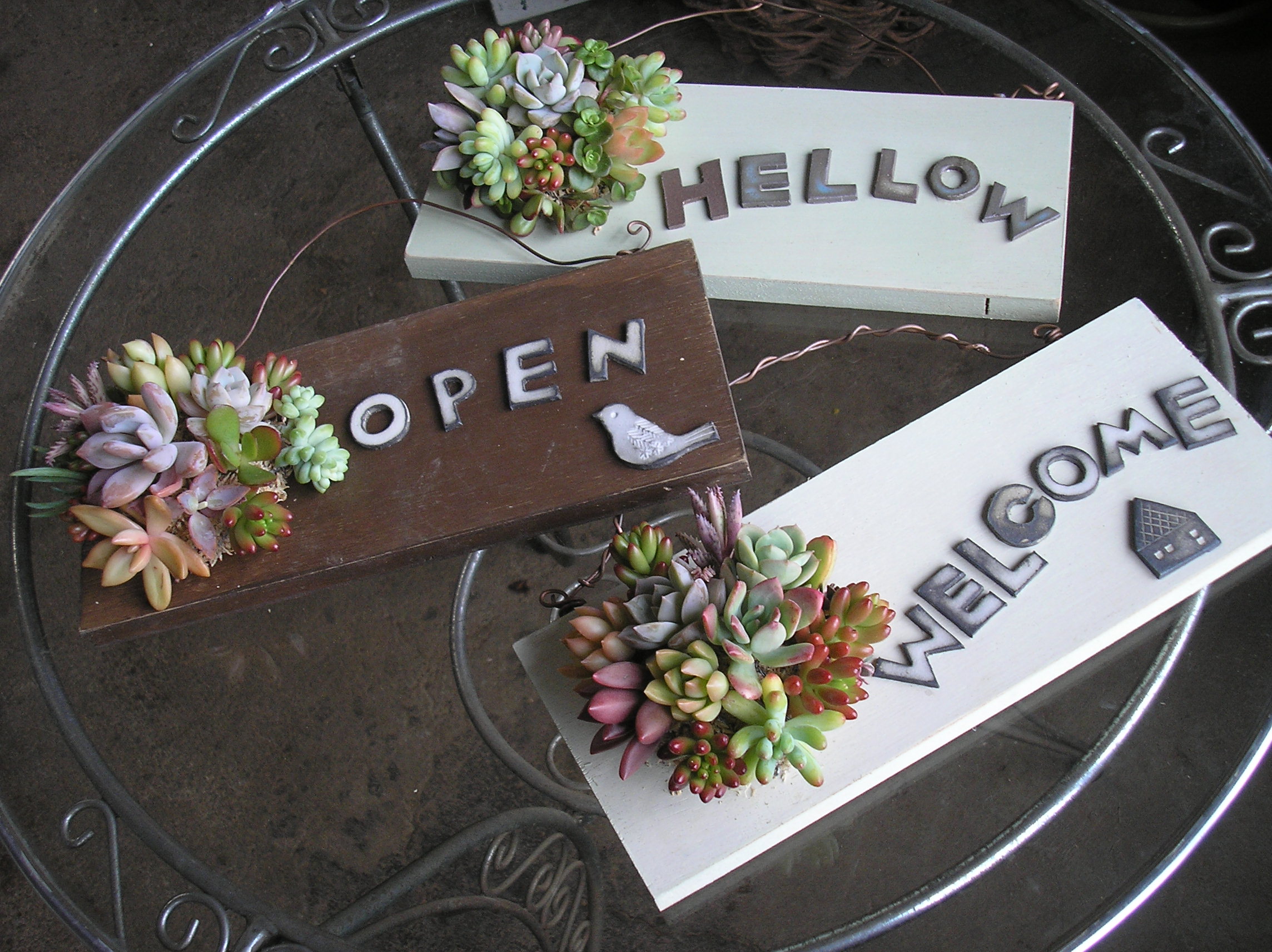 人気の多肉植物 販売作品 Broom香房 里山ハーブ暮らし