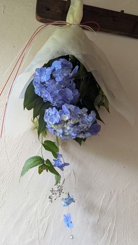PXL_20250510_080022974