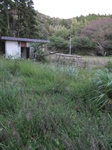 千葉の庭 004