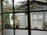 2009 2月日記 043