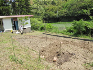 いすみの庭2012 5月 022