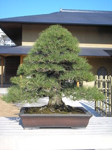 2011 1月日記 012