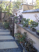 2011 1月日記 016