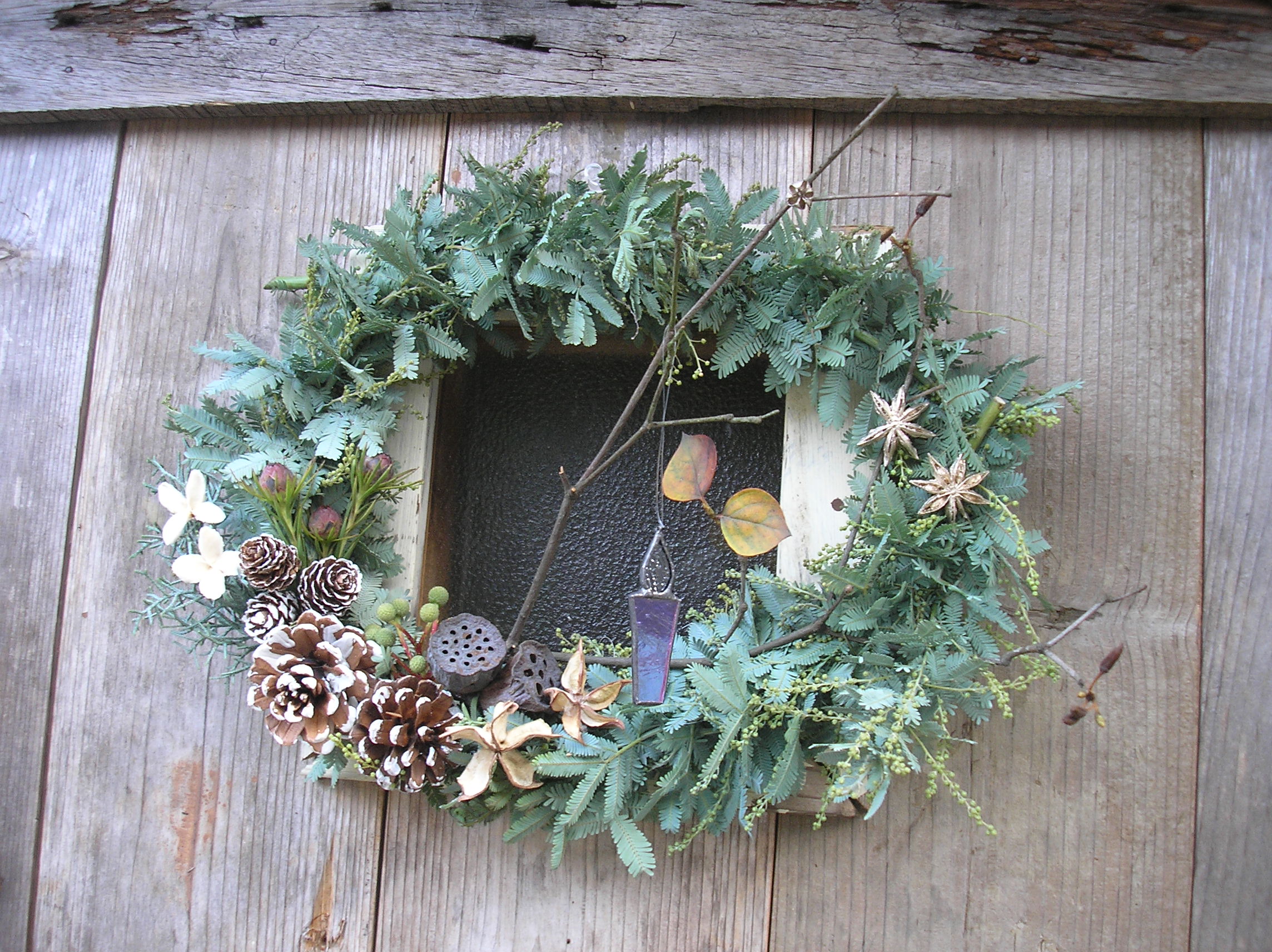 銀葉ミモザのリース : Broom香房～里山ハーブ暮らし