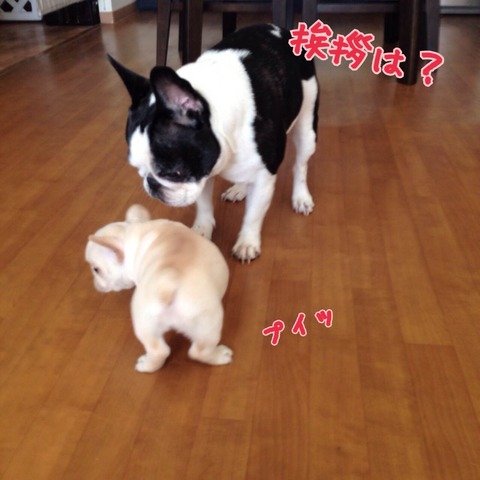 photo1 (10)