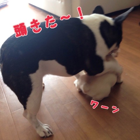 photo3 (5)