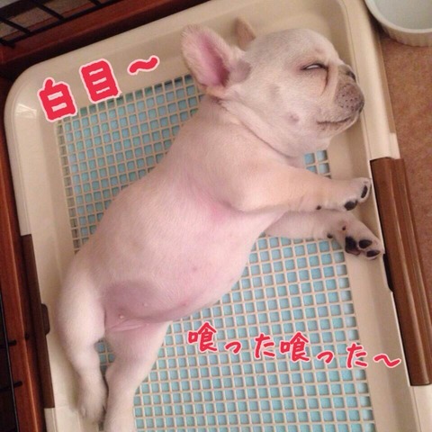 photo3 (6)