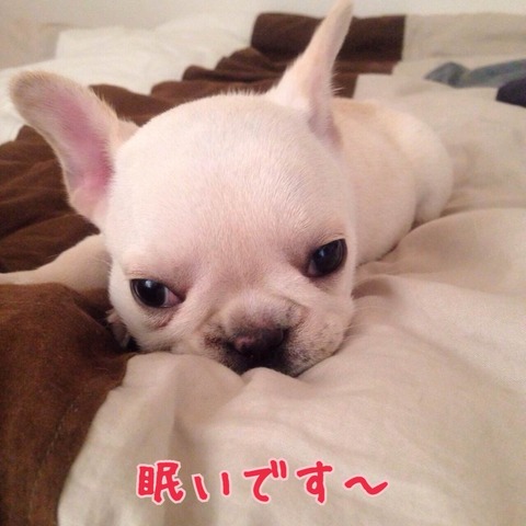 photo2 (5)