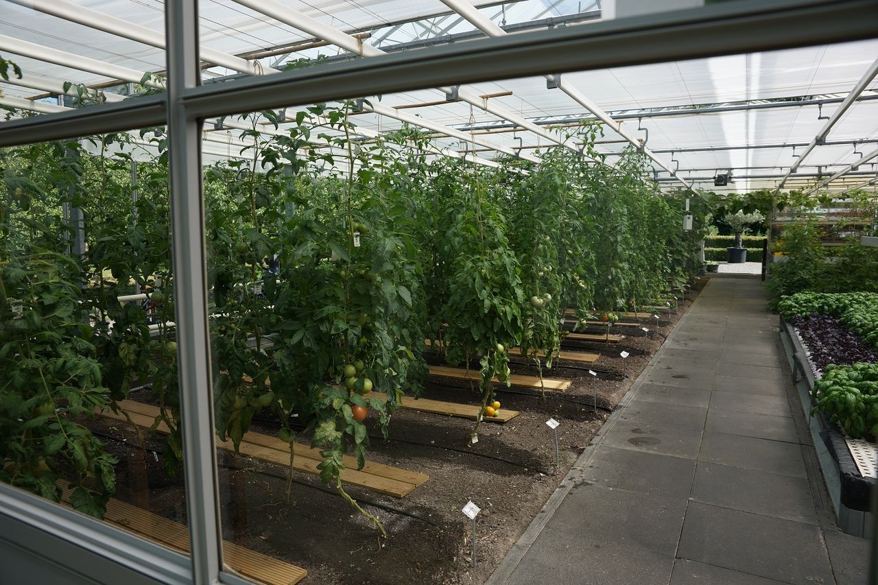 De Kas アムステルダムの 温室 レストラン ２０１８夏旅no ４１ ようこそ 私の午後時間