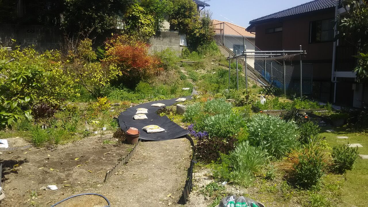 姉宅隣地庭 21庭の骨格作業 2 作業詳細 ようこそ 私の午後時間 姉宅隣地庭 21庭の骨格作業 2 作業詳細 ようこそ 私の午後時間