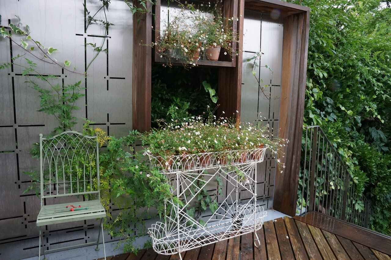 長老たちの庭 ようこそ 私の午後時間