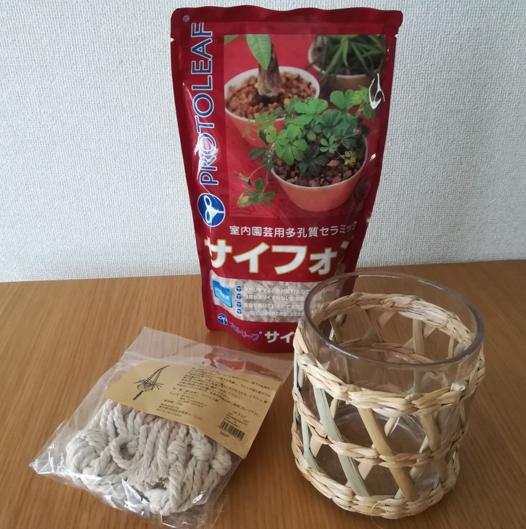 アイビー 元気になって うちこと日和